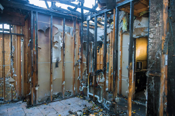 Professional Fire Damage Removal technician working in La Vale, MD